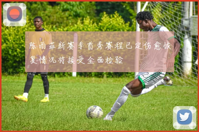 陈雨菲新赛季首秀赛程已定伤愈恢复情况将接受全面检验