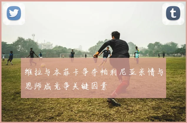 维拉与本菲卡争夺帕利尼亚亲情与恩师成竞争关键因素